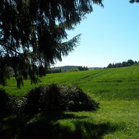 Blick In Die Suedeifel Biersdorf Extérieur photo
